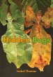 Hidden Bugs - Bild 1