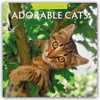 Adorable Cats - Liebenswerte Katzen 2026 - 16-Monatskalender