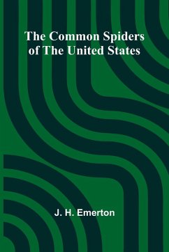 Cover The Common Spiders Of The United States