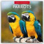 Parrots - Papageien 2026 - 16-Monatskalender Parrots - Papageien 2026 - 16-Monatskalender