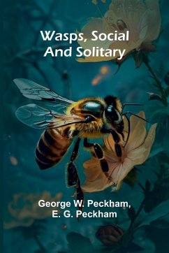 Cover Wasps, Social And Solitary