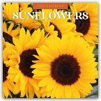 Sunflowers - Sonnenblumen 2026 - 16-Monatskalender Sunflowers - Sonnenblumen 2026 - 16-Monatskalender