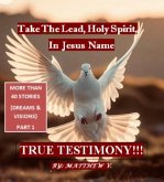 Take the Lead Holy Spirit in Jesus Name (eBook, ePUB) Take the Lead Holy Spirit in Jesus Name (eBook, ePUB)