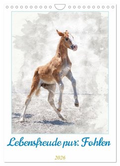 Cover Lebensfreude pur: Fohlen (Wandkalender 2026 DIN A4 hoch), CALVENDO Monatskalender