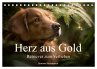 Herz aus Gold - Retriever zum Verlieben... - Bild 1