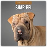 Shar-Pei - Chinesischer Faltenhund 2026 - 16-Monatskalender Shar-Pei - Chinesischer Faltenhund 2026 - 16-Monatskalender