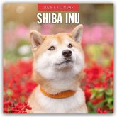 Shiba Inu 2026 - 16-Monatskalender Shiba Inu 2026 - 16-Monatskalender