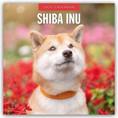 Cover Shiba Inu 2026 - 16-Monatskalender