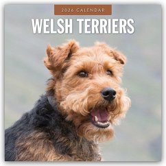 Welsh Terriers - Welsh Terrier 2026 - 16-Monatskalender - Red Robin Publishing Ltd