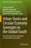 Urban Slums and Circular Economy Synergies in the Global South