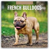 French Bulldogs - Französische Bulldoggen 2026 - 16-Monatskalender French Bulldogs - Französische Bulldoggen 2026 - 16-Monatskalender