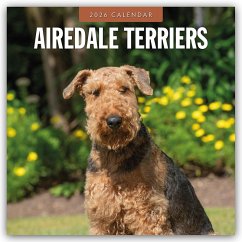 Airdale Terriers - Airdale Terrier 2026 - 16-Monatskalender - Red Robin Publishing Ltd