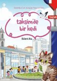 Istanbulun Acayip Hayvanlari Taksimde Bir Kedi Istanbulun Acayip Hayvanlari Taksimde Bir Kedi