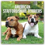 American Staffordshire Terriers - American Staffordshire Terrier 2026 - 16-Monatskalender American Staffordshire Terriers - American Staffordshire Terrier 2026 - 16-Monatskalender