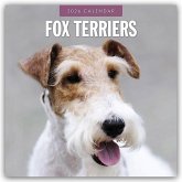 Fox Terriers - Foxterrier 2026 - 16-Monatskalender Fox Terriers - Foxterrier 2026 - 16-Monatskalender