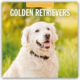 Golden Retrievers - Golden Retriever 2026 - 16-Monatskalender