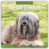 Tibetan Terriers - Tibet Terrier 2026 - 16-Monatskalender