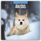 Akitas - Akita 2026 - 16-Monatskalender