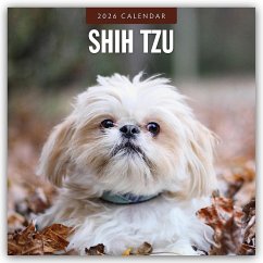 Cover Shih Tzu 2026 - 16-Monatskalender
