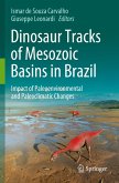 Dinosaur Tracks of Mesozoic Basins in Brazil