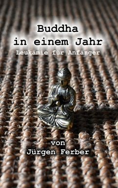 Buddha in einem Jahr - Ferber, Jürgen