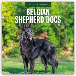 Belgian Shepherd - Belgischer Schäferhund 2026 - 16-Monatskalender - Red Robin Publishing Ltd