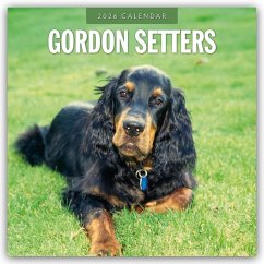 Gordon Setters - Gordon Setter 2026 - 16-Monatskalender - Red Robin Publishing Ltd