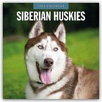Siberian Huskies - Sibirischer Husky - Sibirische Huskys 2026 - 16-Monatskalender Siberian Huskies - Sibirischer Husky - Sibirische Huskys 2026 - 16-Monatskalender