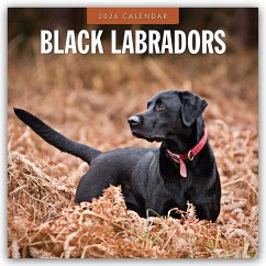 Cover Black Labrador Retrievers - Schwarze Labrador Retriever 2026 - 16-Monatskalender