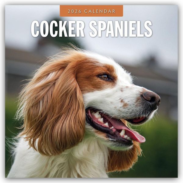 Cocker Spaniels - Cocker Spaniel 2026 - 16-Monatskalender Cocker Spaniels - Cocker Spaniel 2026 - 16-Monatskalender