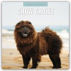Chow Chows - Chow Chow 2026 - 16-Monatskalender Chow Chows - Chow Chow 2026 - 16-Monatskalender