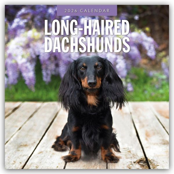 Long-Haired Dachshunds - Langhaardackel 2026 - 16-Monatskalender