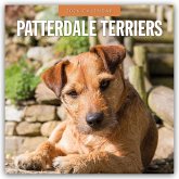 Patterdale Terriers - Patterdale Terrier - Schwarzer Terrier 2026 - 16-Monatskalender