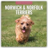 Norwich Terrier und Norfolk Terrier 2026 - 16-Monatskalender