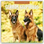 German Shepherds - Deutscher Schäferhund 2026 - 16-Monatskalender