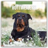 Rottweilers - Rottweiler 2026 - 16-Monatskalender Rottweilers - Rottweiler 2026 - 16-Monatskalender