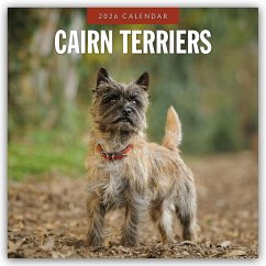 Cover Cairn Terriers - Cairn Terrier 2026 - 16-Monatskalender