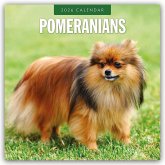 Pomeranians - Zwergspitz - Pomeranian Zwergspitz 2026 - 16-Monatskalender Pomeranians - Zwergspitz - Pomeranian Zwergspitz 2026 - 16-Monatskalender