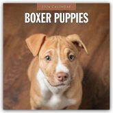 Boxer Puppies - Deutsche Boxer Welpen 2026 - 16-Monatskalender Boxer Puppies - Deutsche Boxer Welpen 2026 - 16-Monatskalender
