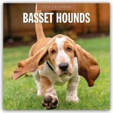 Basset Hounds - Basset Hound 2026 - 16-Monatskalender Basset Hounds - Basset Hound 2026 - 16-Monatskalender