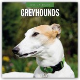 Greyhound - Windhund 2026 - 16-Monatskalender Greyhound - Windhund 2026 - 16-Monatskalender