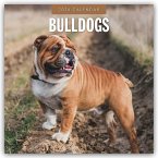 Bulldogs - Bulldoggen 2026 - 16-Monatskalender Bulldogs - Bulldoggen 2026 - 16-Monatskalender