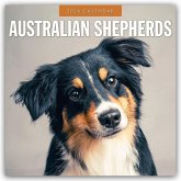 Australian Shepherds - Australian Shepherd 2026 - 16-Monatskalender