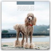 Poodles - Pudel 2026 - 16-Monatskalender Poodles - Pudel 2026 - 16-Monatskalender