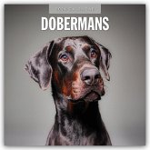 Dobermans - Dobermann 2026 - 16-Monatskalender Dobermans - Dobermann 2026 - 16-Monatskalender
