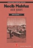 Arzu Sarayi - Kahire Üclemesi 2 Arzu Sarayi - Kahire Üclemesi 2