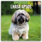 Lhasa Apsos - Lhasa Apso 2026 - 16-Monatskalender