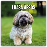 Lhasa Apsos - Lhasa Apso 2026 - 16-Monatskalender Lhasa Apsos - Lhasa Apso 2026 - 16-Monatskalender