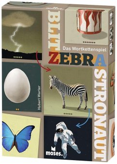 Cover Blitz Zebra Astronaut