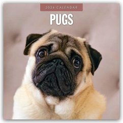 Cover Pugs - Mops 2026 - 16-Monatskalender